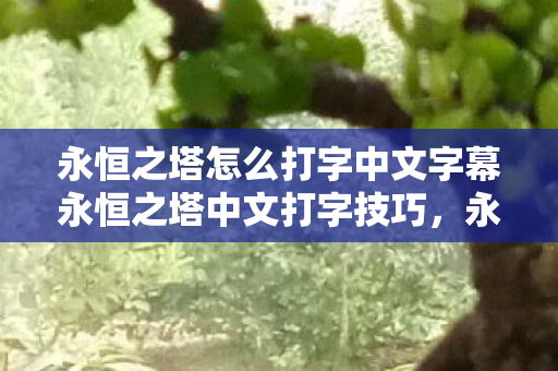永恒之塔怎么打字中文字幕永恒之塔中文打字技巧图片