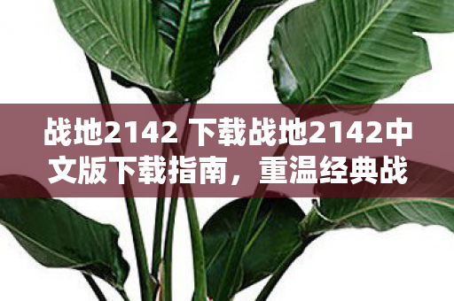 战地2142 下载战地2142中文版下载指南图片