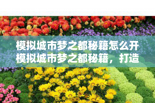 模拟城市梦之都秘籍怎么开模拟城市梦之都秘籍图片