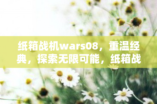 纸箱战机wars08图片