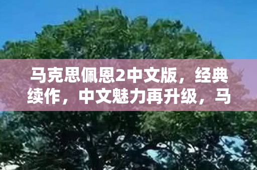 马克思佩恩2中文版图片