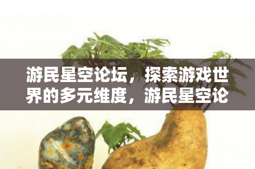 探索游戏世界的多元维度图片