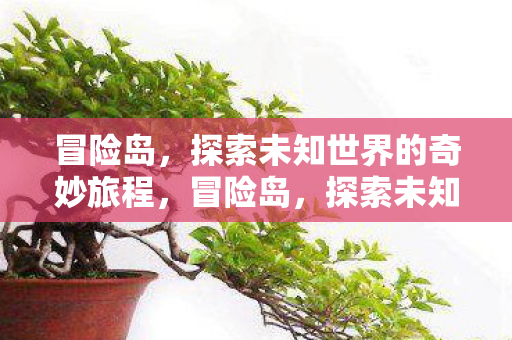 冒险岛，探索未知世界的奇妙旅程，冒险岛，探索未知世界的奇妙旅程