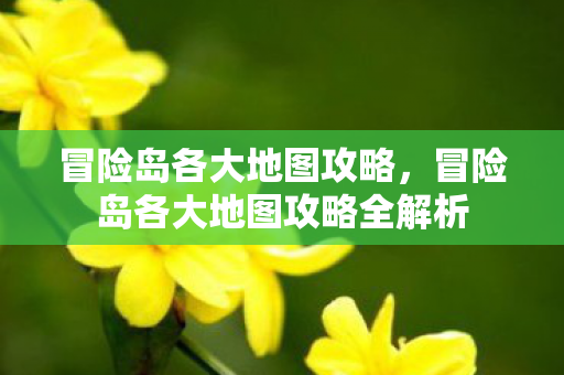 冒险岛各大地图攻略,冒险岛各大地图攻略全解析 冒险岛各大地图攻略,冒险岛各大地图攻略全解析