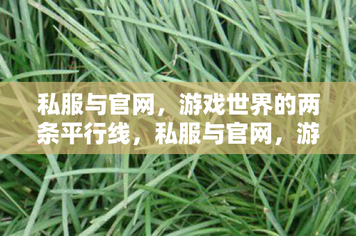 游戏世界的两条平行线图片