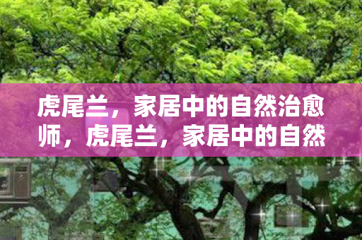 家居中的自然治愈师图片