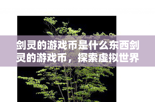 剑灵的游戏币是什么东西剑灵的游戏币，探索虚拟世界的财富之道，探索剑灵游戏币，虚拟世界的财富密码