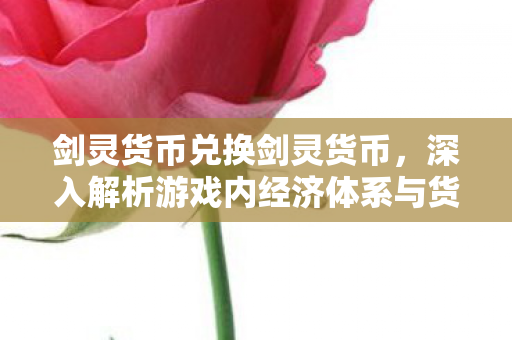剑灵货币兑换剑灵货币，深入解析游戏内经济体系与货币价值，深入解析剑灵游戏内经济体系与货币价值