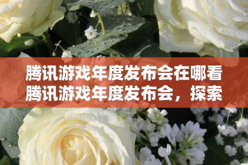 腾讯游戏年度发布会在哪看腾讯游戏年度发布会图片