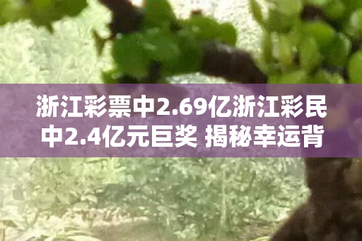 4亿元巨奖 揭秘幸运背后的故事图片