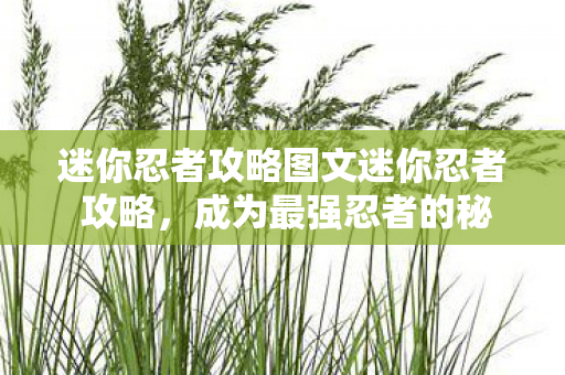 迷你忍者攻略图文迷你忍者 攻略图片