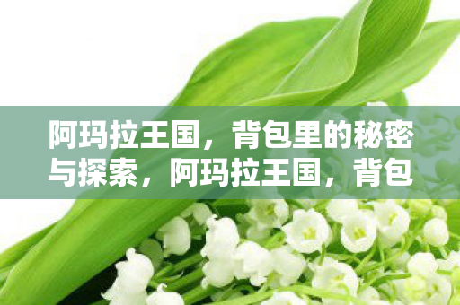 背包里的秘密与探索图片