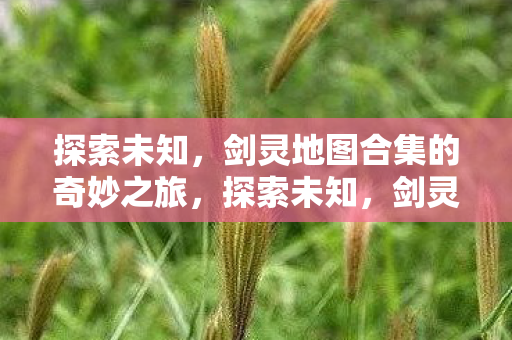 探索未知，剑灵地图合集的奇妙之旅，探索未知，剑灵地图合集的奇妙之旅