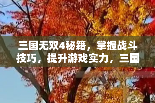 提升游戏实力秘籍图片