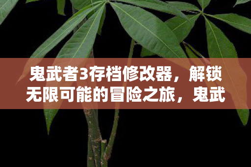 解锁无限可能的冒险之旅图片