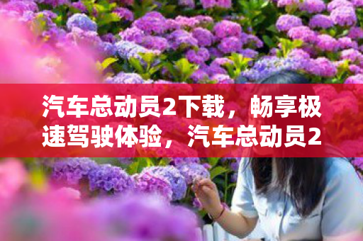 汽车总动员2下载,畅享极速驾驶体验,汽车总动员2下载,开启极速驾驶之旅 汽车总动员2下载,畅享极速驾驶体验,汽车总动员2下载,开启极速驾驶之旅