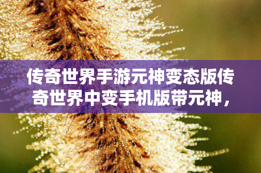 传奇世界手游元神变态版传奇世界中变手机版带元神图片