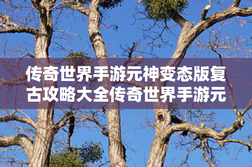 传奇世界手游元神变态版复古攻略大全传奇世界手游元神变态版复古攻略图片