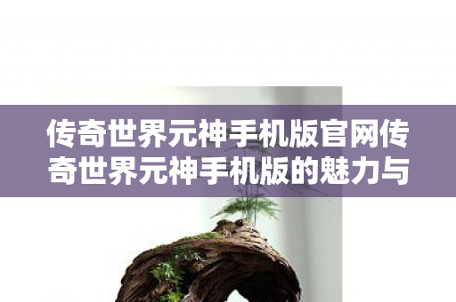 传奇世界元神手机版官网传奇世界元神手机版的魅力与挑战图片