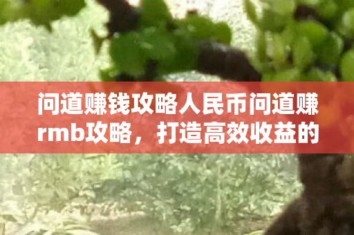 问道赚钱攻略人民币问道赚rmb攻略,打造高效收益的策略与技巧,问道赚rmb攻略,打造高效收益的策略与技巧 问道赚钱攻略人民币问道赚rmb攻略,打造高效收益的策略与技巧,问道赚rmb攻略,打造高效收益的策略与技巧