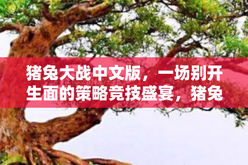 一场别开生面的策略竞技盛宴图片