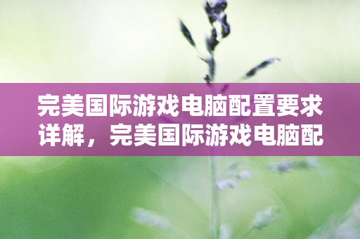 完美国际游戏电脑配置要求全解析图片