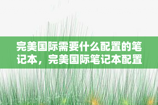 完美国际需要什么配置的笔记本图片
