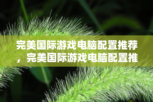 完美国际游戏电脑配置推荐指南图片