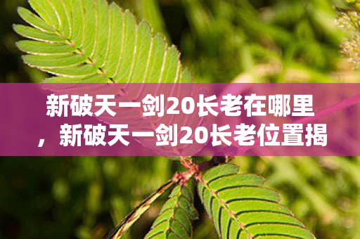 新破天一剑20长老位置揭秘图片
