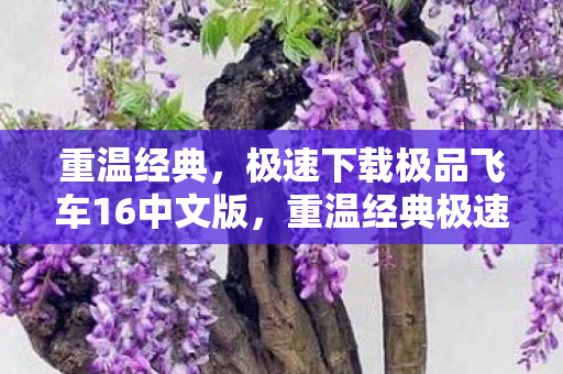重温经典极速下载极品飞车16中文版图片