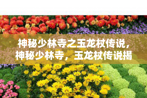 神秘少林寺之玉龙杖传说图片