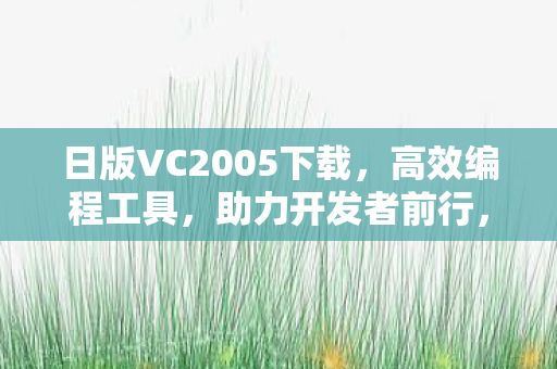 日版VC2005下载图片