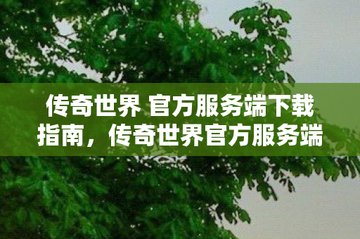 传奇世界 官方服务端下载指南图片