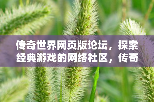 探索经典游戏的网络社区图片