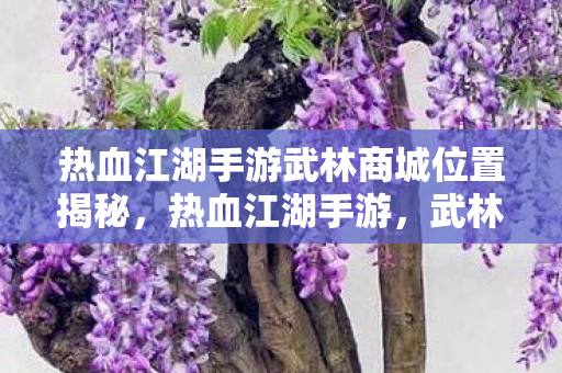 热血江湖手游武林商城位置揭秘,热血江湖手游,武林商城位置大揭秘 热血江湖手游武林商城位置揭秘,热血江湖手游,武林商城位置大揭秘