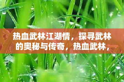 热血武林江湖情,探寻武林的奥秘与传奇,热血武林,探寻江湖情与武林的奥秘传奇 热血武林江湖情,探寻武林的奥秘与传奇,热血武林,探寻江湖情与武林的奥秘传奇