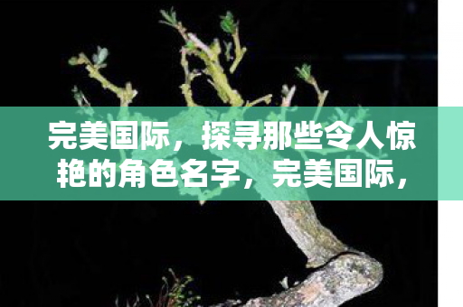 探寻那些令人惊艳的角色名字图片