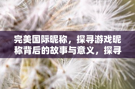 探寻完美国际昵称背后的故事与意义图片