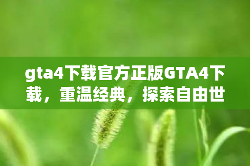 gta4下载官方正版GTA4下载图片