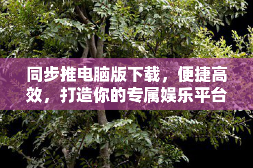 同步推电脑版下载,便捷高效,打造你的专属娱乐平台,同步推电脑版,打造专属娱乐平台,便捷高效下载体验 同步推电脑版下载,便捷高效,打造你的专属娱乐平台,同步推电脑版,打造专属娱乐平台,便捷高效下载体验