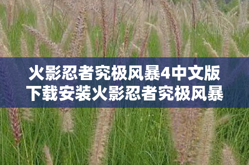 火影忍者究极风暴4中文版下载安装火影忍者究极风暴4中文版下载指南图片