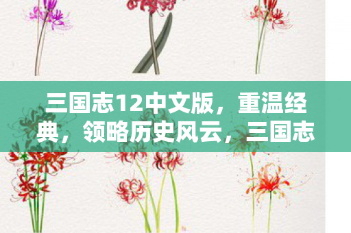 三国志12中文版,重温经典,领略历史风云,三国志12中文版,重温经典历史风云 三国志12中文版,重温经典,领略历史风云,三国志12中文版,重温经典历史风云