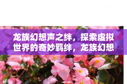 探索虚拟世界的奇妙羁绊图片