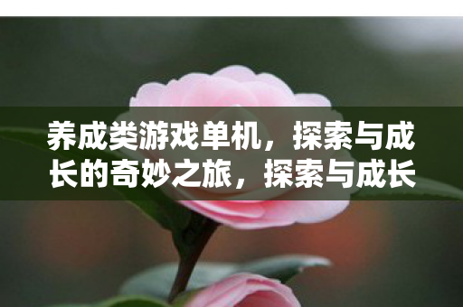 单机养成游戏的奇妙之旅图片
