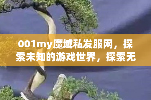 001my魔域私发服网带你领略未知游戏世界图片