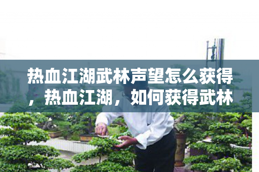 热血江湖武林声望怎么获得,热血江湖,如何获得武林声望? 热血江湖武林声望怎么获得,热血江湖,如何获得武林声望?