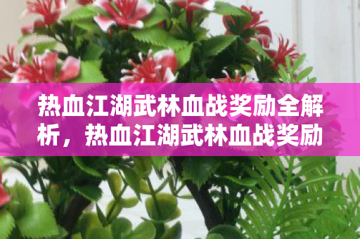 热血江湖武林血战奖励全解析,热血江湖武林血战奖励全解析 热血江湖武林血战奖励全解析,热血江湖武林血战奖励全解析