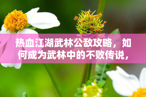 热血江湖武林公敌攻略,如何成为武林中的不败传说,武林公敌攻略,打造不败传说 热血江湖武林公敌攻略,如何成为武林中的不败传说,武林公敌攻略,打造不败传说