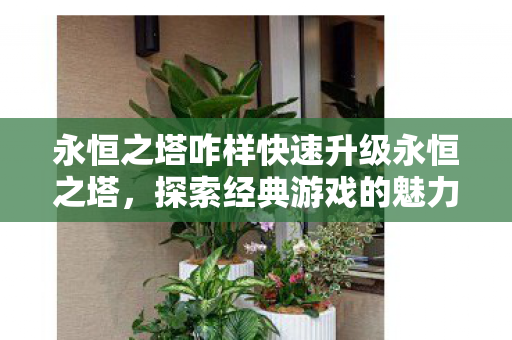 永恒之塔咋样快速升级永恒之塔图片
