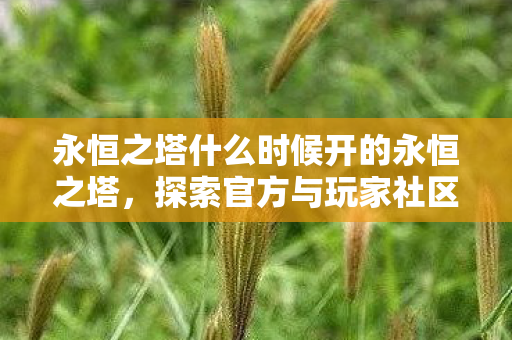 探索官方与玩家社区的互动与影响图片